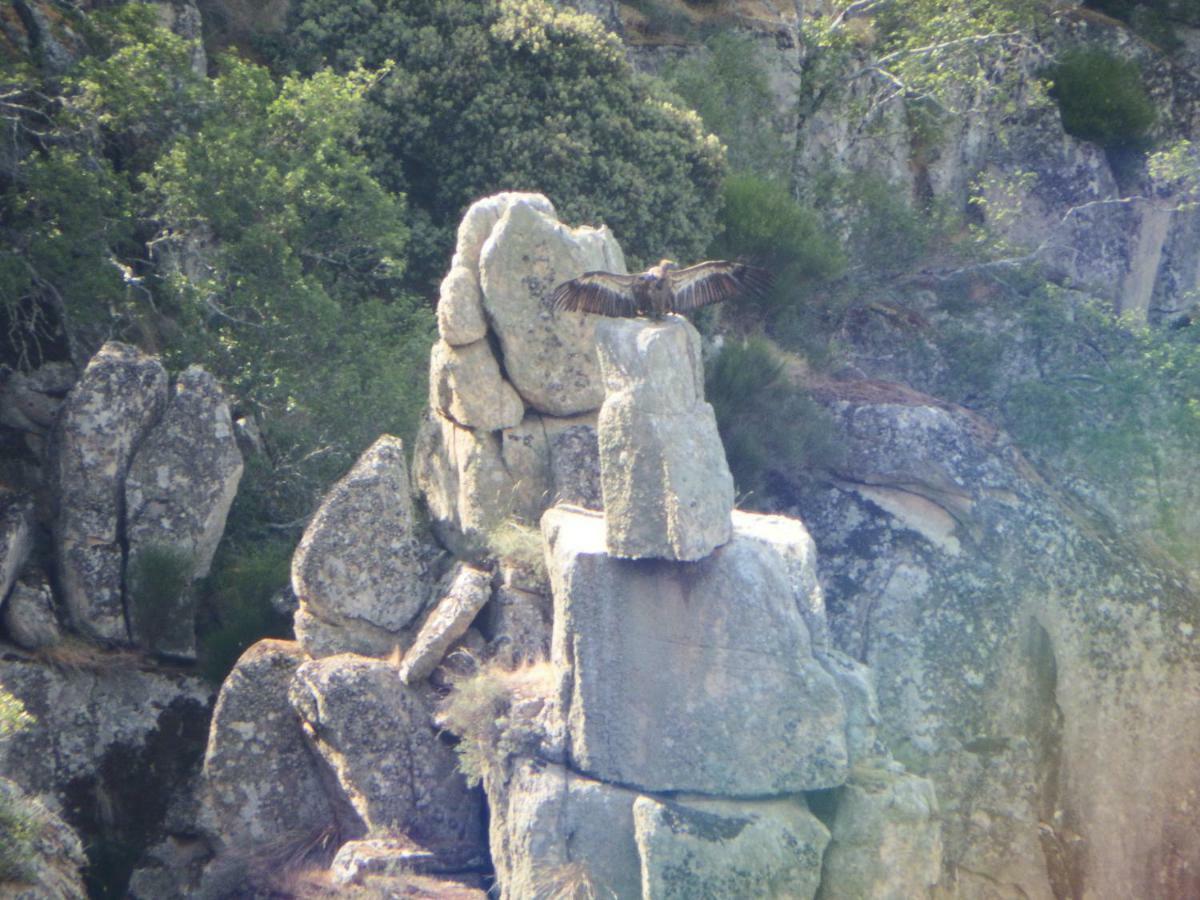 Casa Rural Duas Aguas Arribes Bemposta  Buitenkant foto